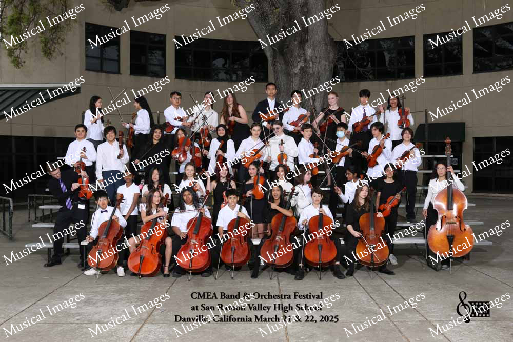 Musical Images
